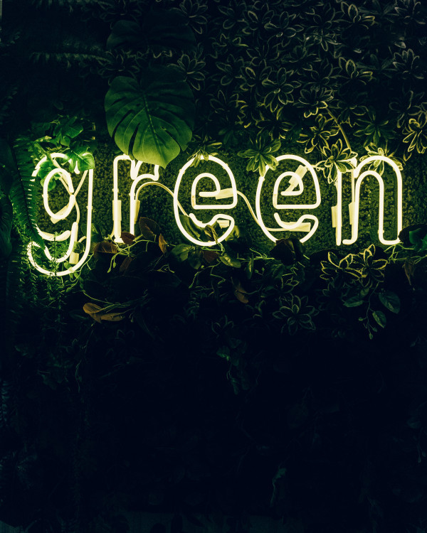 How does ‘going green’ affect businesses? 
