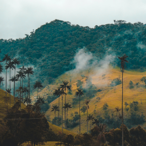 International Business Research